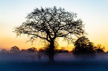 Winter in the Netherlands
