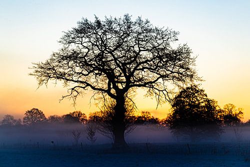Winter in the Netherlands