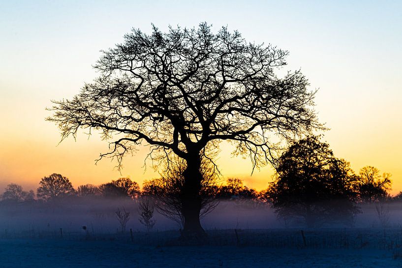 Winter in the Netherlands by Albert ten Hove