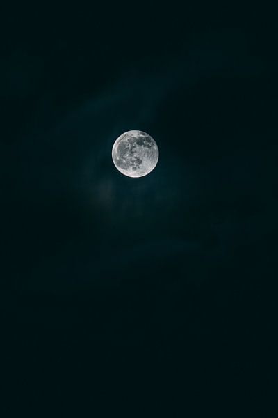 Volle maan aan de donkere hemel van Robin van Steen