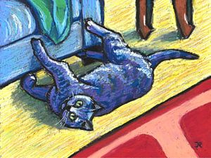 Katze  – Sofa-Kratzer