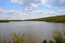 Biesbosch-Nationalpark von Hans Janssen
