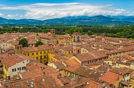 Lucca, Italië - Uitzicht vanaf Torre delle Ore - 1 van Tux Photography thumbnail