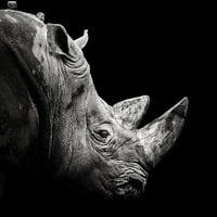 Nashorn