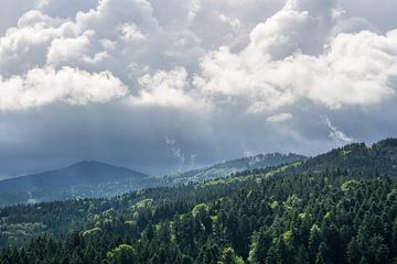 Glowing clouds as sun breaks through and shines on black forest by adventure-photos