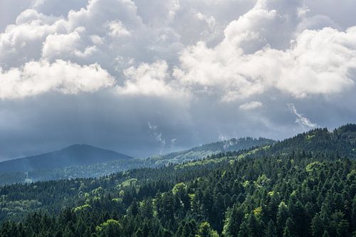 Gloeiende wolken als de zon doorbreekt en op zwart bos schijnt