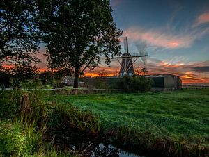 Westbroek in de ochtendzon