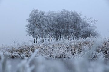 Friesland - Winter by Fotografie Sybrandy