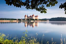Moritzburg Castle