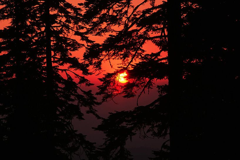 Rote Sonne von Walljar