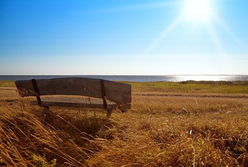 Bench on the coast by Bo Valentino