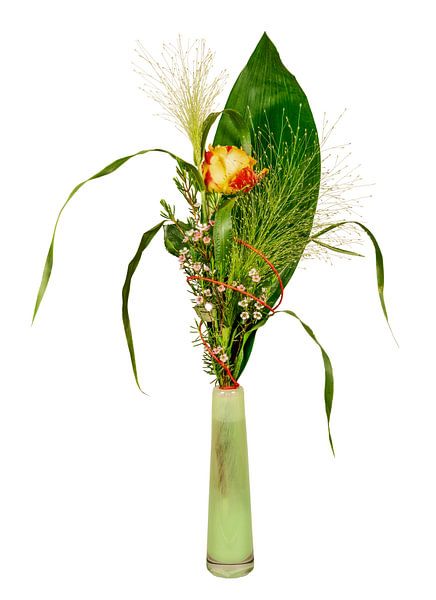 Roos in een glazen vaas op een witte achtergrond van ManfredFotos