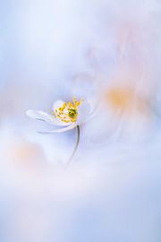 The beauty of silence