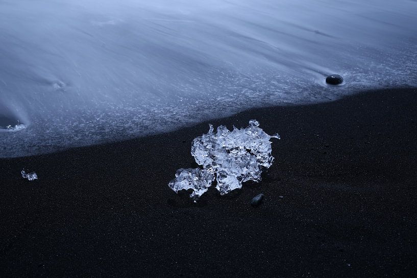 Ijsschots op lavastrand, IJsland par Pep Dekker