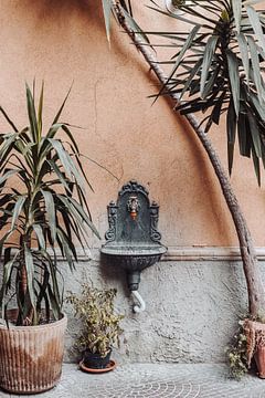 Zonder water geen planten | Milaan Italië van Amersfoort Fotoprint