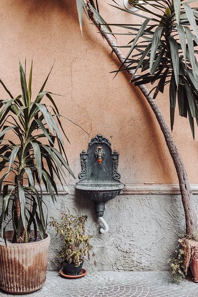 Keine Pflanzen ohne Wasser | Mailand Italien von Amersfoort Fotoprint