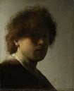 Selbstbildnis, Rembrandt Harmensz. van Rijn, ca. 1628 von Rembrandt van Rijn Miniaturansicht