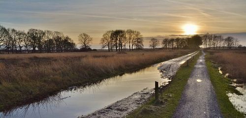 Abendstimmung am National Park Dwingelderveld