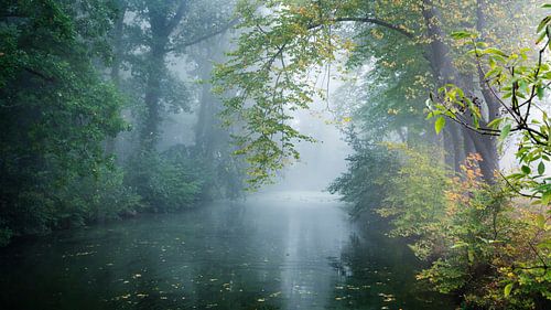 Mist over de gracht van landgoed Nienoord met eendjes