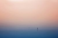 Stand Up Paddling