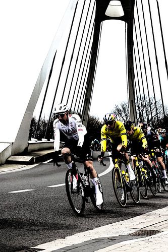Peloton auf der Brücke Wout van Aert