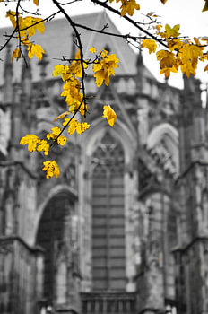 Dom in de herfst