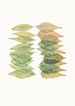 Curiosity Cabinet_Leaves_01 by Marielle Leenders