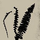 Abstract botanisch. Varens in zwart en wit. van Dina Dankers thumbnail