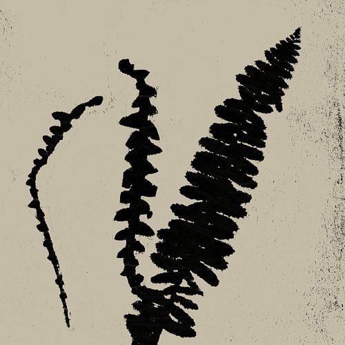 Abstract botanisch. Varens in zwart en wit.