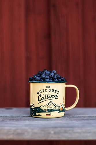 Cup filled with blueberries - for nature lovers and adventurous people
