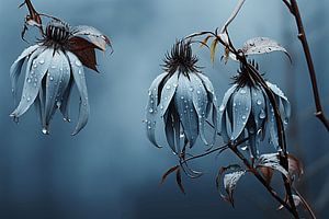 La fleur bleue et froide sur Karina Brouwer