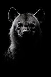 Hyena van Poster Art Shop