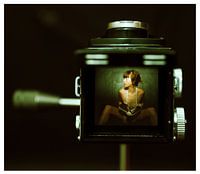 The view of a camera