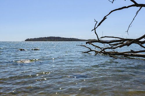 Plage naturelle au Goor, Lauterbach sur l'île de Rügen