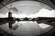 Reflectie van De Rotterdam in fisheye van Ronne Vinkx thumbnail