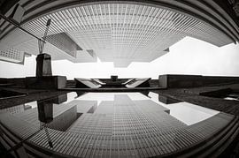 Reflection of The Rotterdam in fisheye