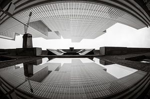Reflection of The Rotterdam in fisheye