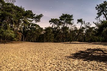 Nationaal Park De Loonse en Drunense Duinen