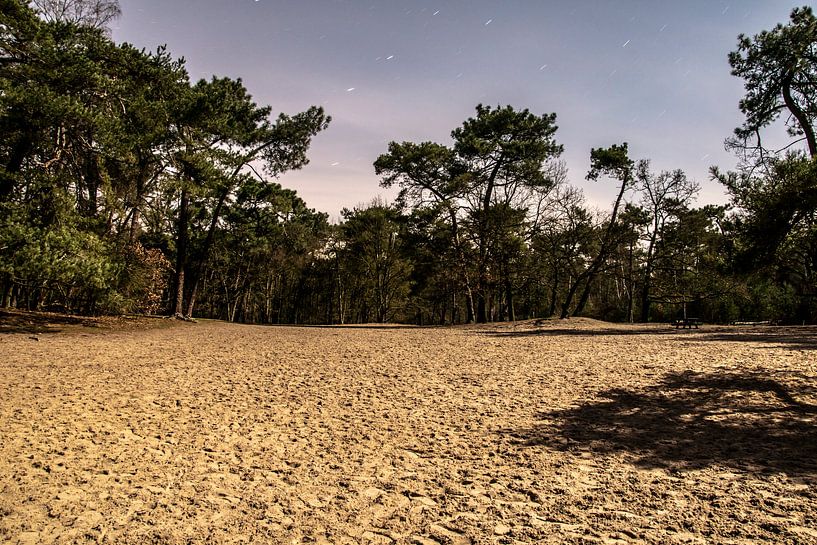 Nationaal Park De Loonse en Drunense Duinen by Anouk IJpelaar