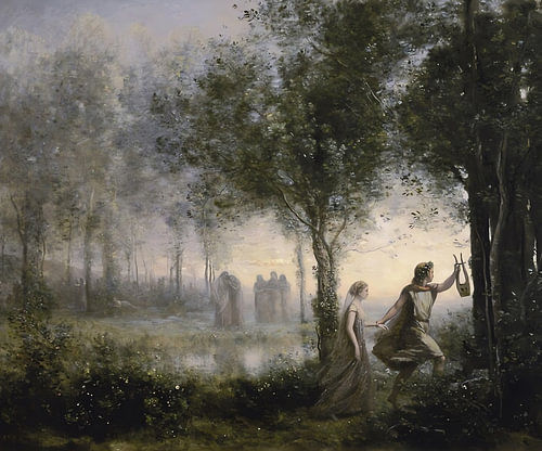 Misty Woodland Passage