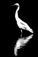 Simply Beautifull