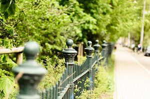 The fence of the Sarphatipark Amsterdam sur Don Fonzarelli