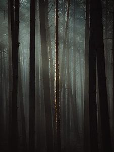 Der Licht in der Dunkelheit von Jakub Wencek