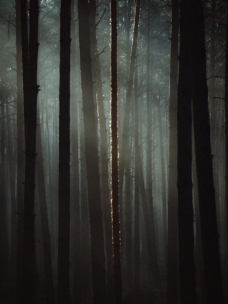 La lumière dans l'obscurité par Jakub Wencek