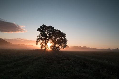 Quand le jour se lève