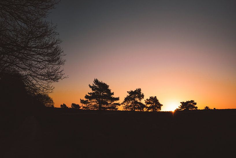 Magical sunrise on the Veluwe | Netherlands by Wandeldingen