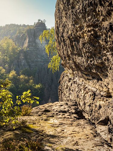Bärenhornterrasse in de Sächsische Schweiz - Uitzicht op de Heringstein