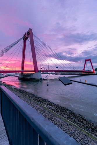 Willemsbrug Rotterdam