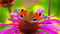 Schmetterling von Alex Hiemstra Miniaturansicht
