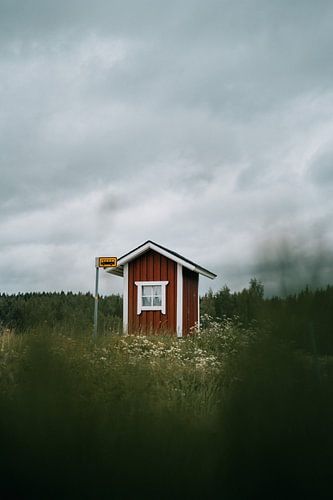 Bushokje in Finland